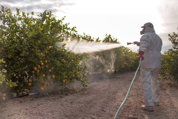 Best Pest Control for Businesses  in Tignall, GA