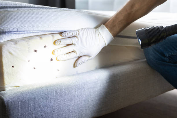 Best Pest Inspection Near Me  in Tignall, GA
