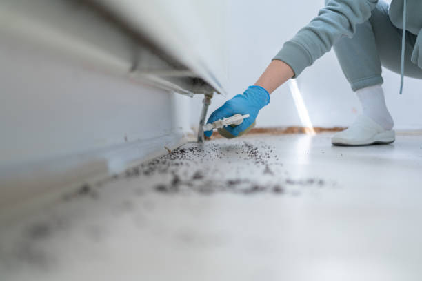 Best Pest Control for Restaurants  in Tignall, GA